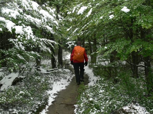 Full Day Trekking Base Torres