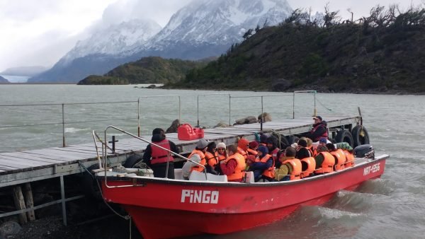 Tour glaciar grey + full day paine + milodon