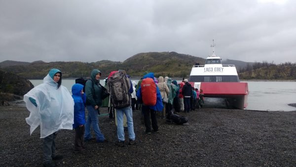 Tour glaciar grey + full day paine + milodon