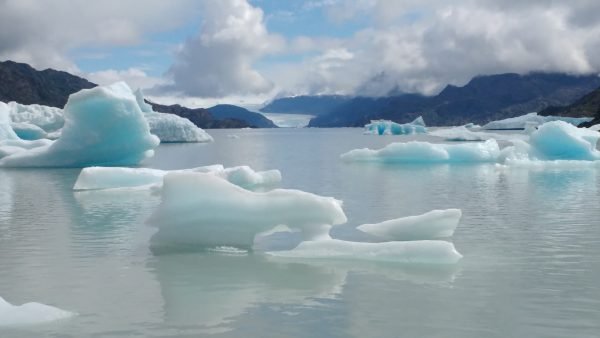 Tour glaciar grey + full day paine + milodon