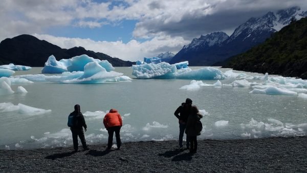 Tour glaciar grey + full day paine + milodon