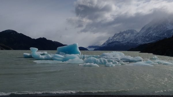 Tour glaciar grey + full day paine + milodon