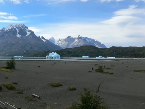 Tour glaciar grey + full day paine + milodon