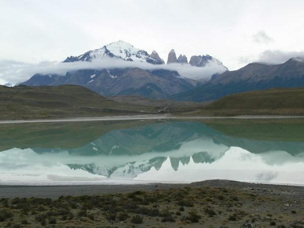 Tour glaciar grey + full day paine + milodon