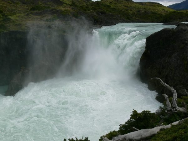 Tour glaciar grey + full day paine + milodon