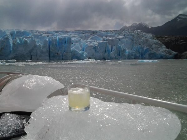 Tour glaciar grey + full day paine + milodon