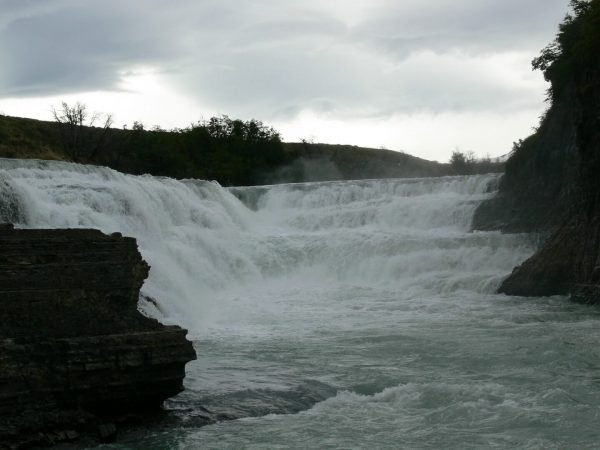 Tour glaciar grey + full day paine + milodon