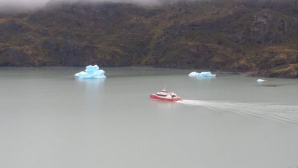 Tour glaciar grey + full day paine + milodon