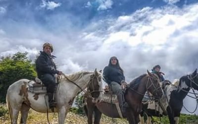HORSEBACK RIDING: CERRO DOROTEA SUMMIT