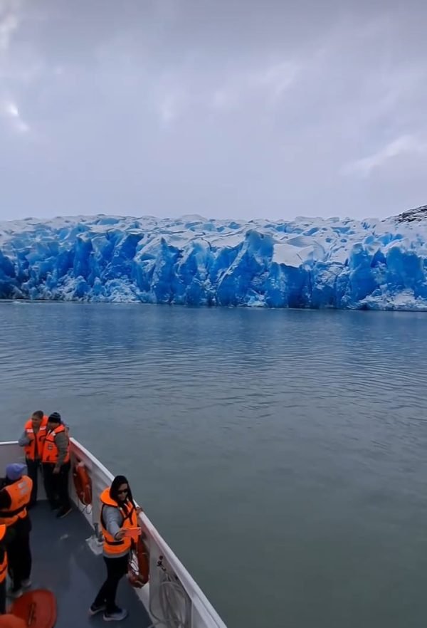 NAVEGACION GLACIAR GREY + TRASLADO